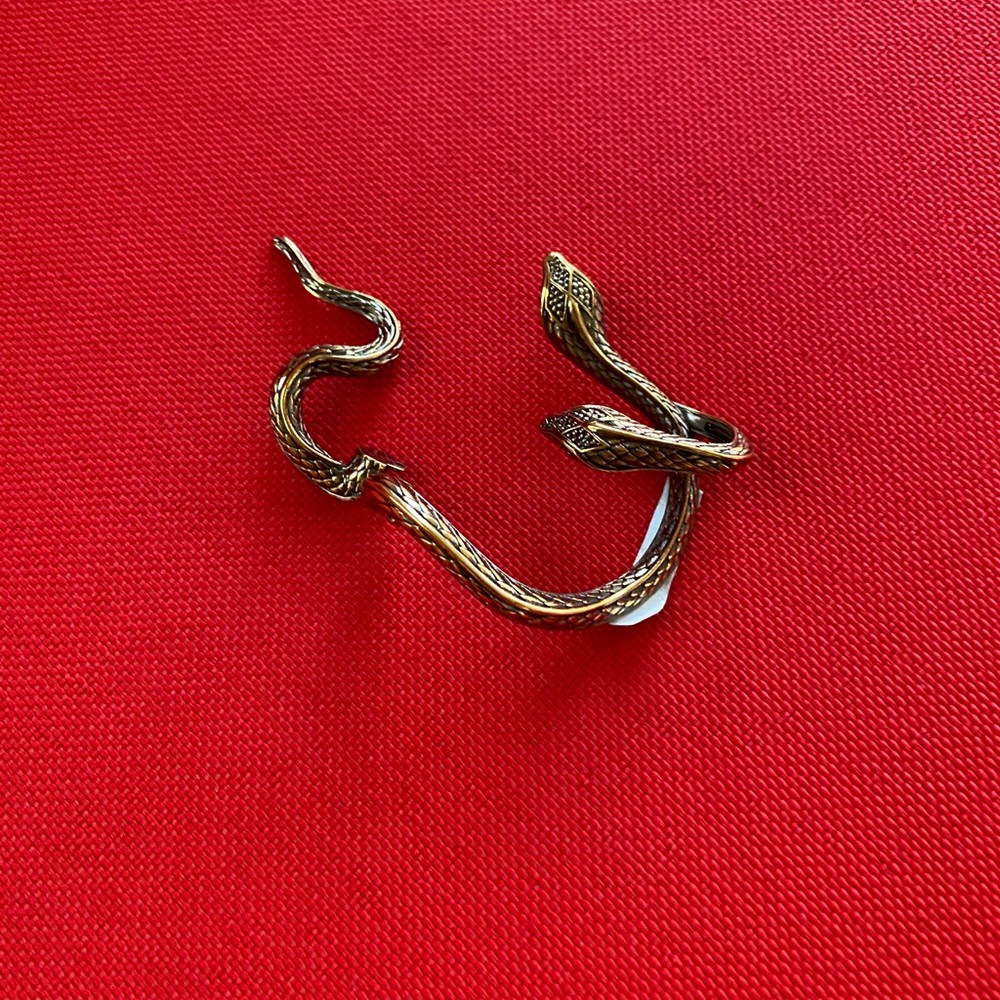 😍😍 Roberto Cavalli snake earring 😍😍